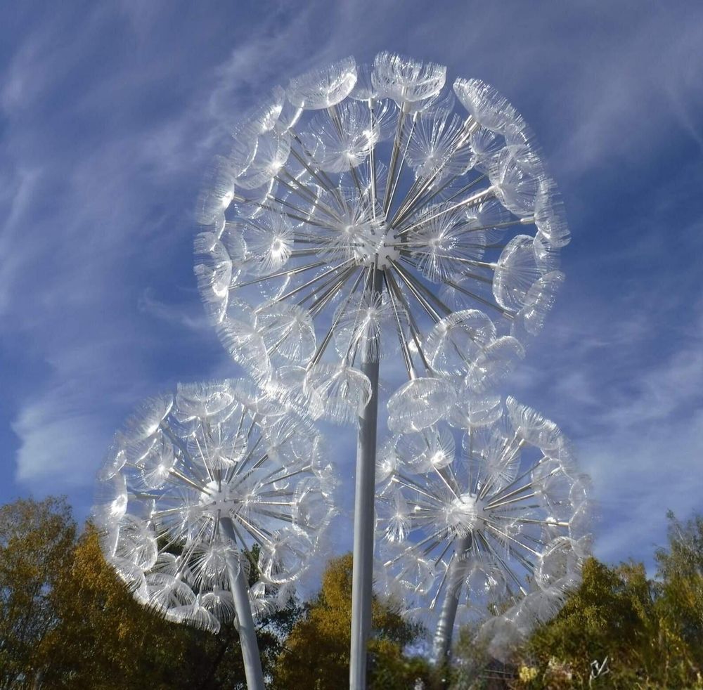 Photograph by Елена Сухорученкова