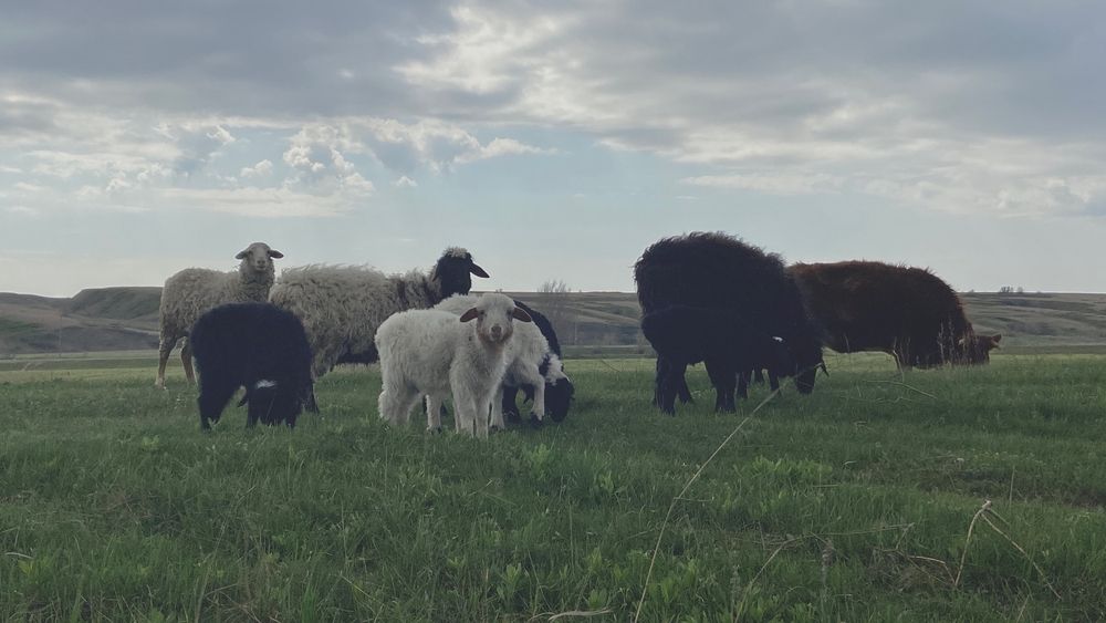 Фотография автора Максим Басакин
