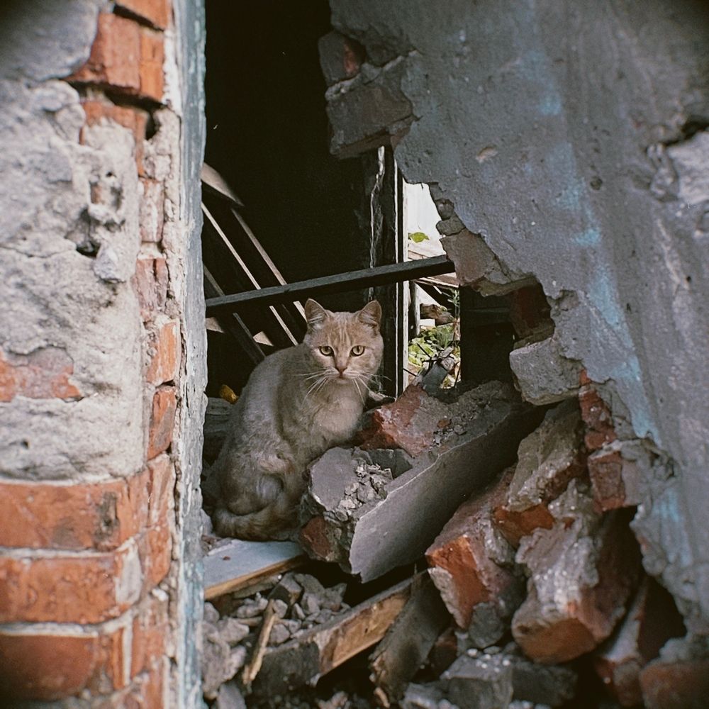 Фотография автора Максим Басакин