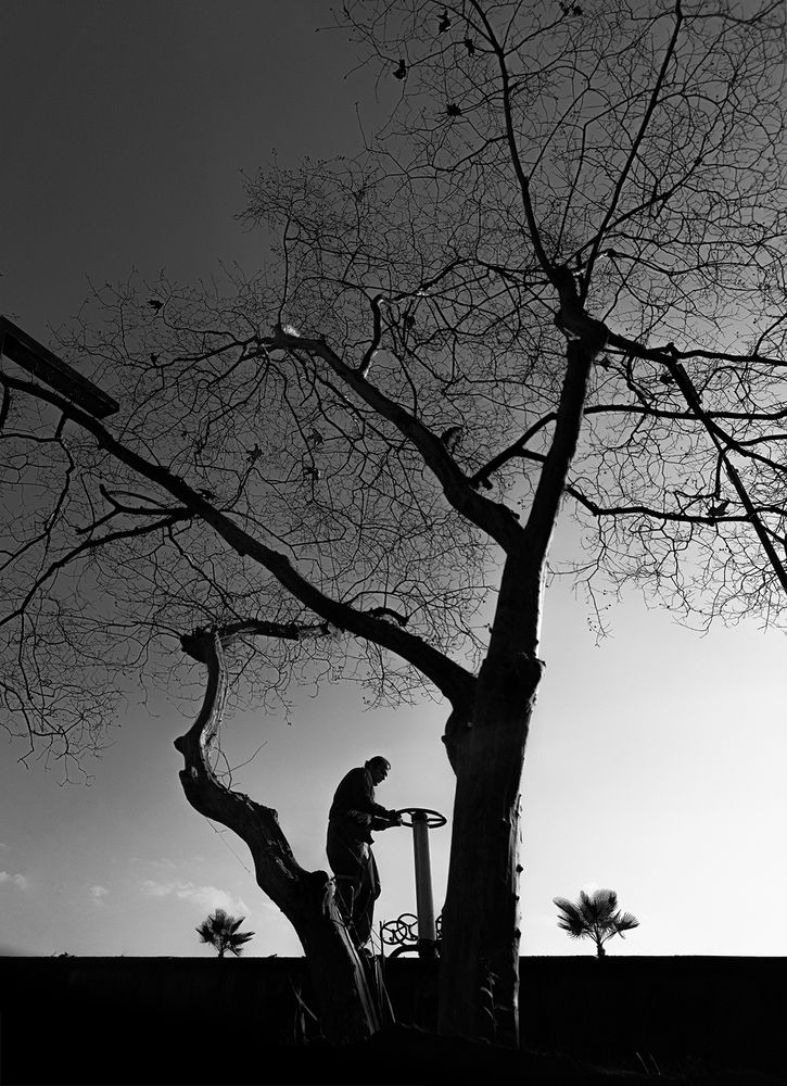 Photograph by hasan sorena jouri