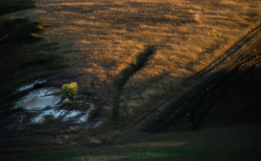 Photograph by Сергей Немцев