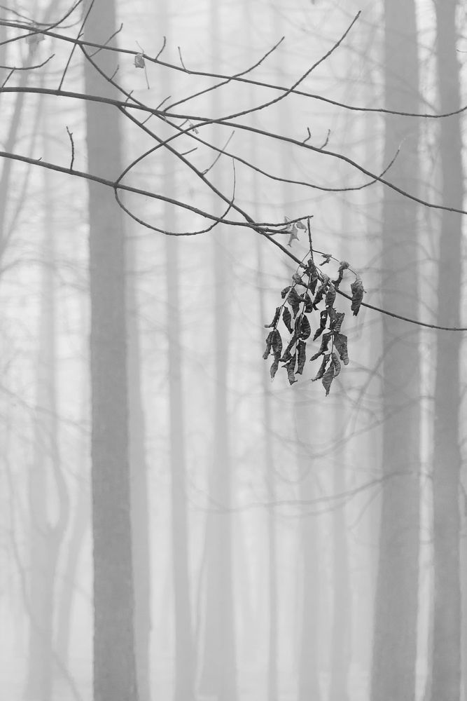 Photograph by Наталия Брянцева