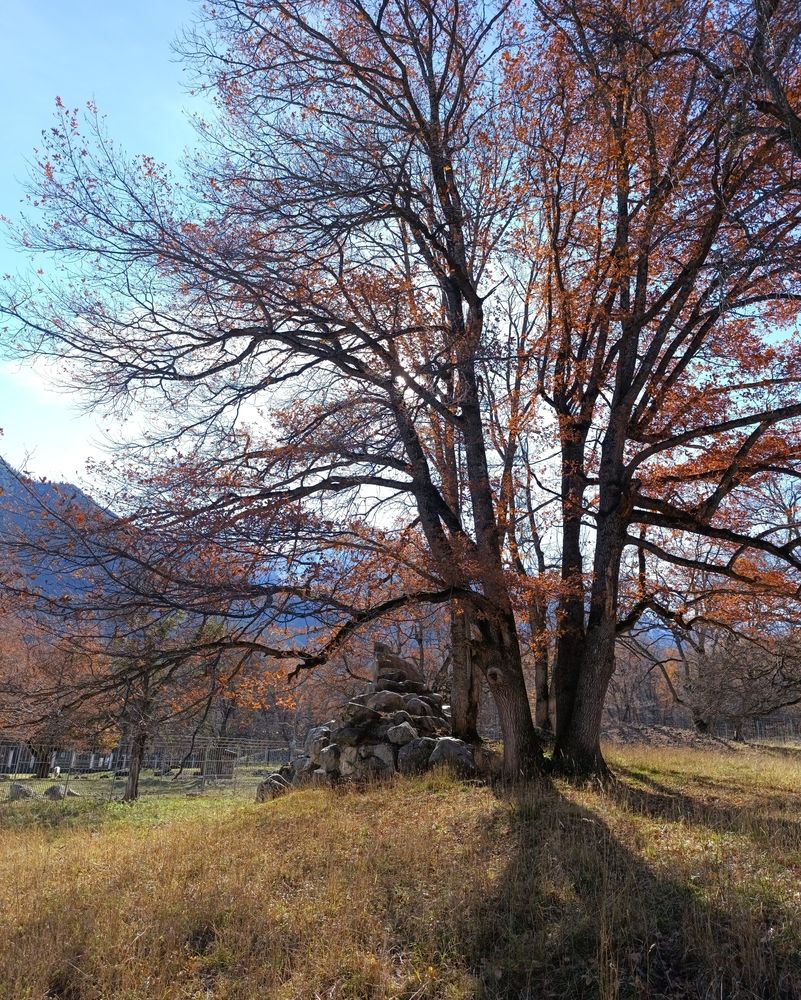 Photograph by Валерия