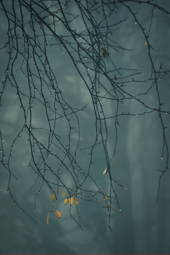 Photograph by Наталия Брянцева