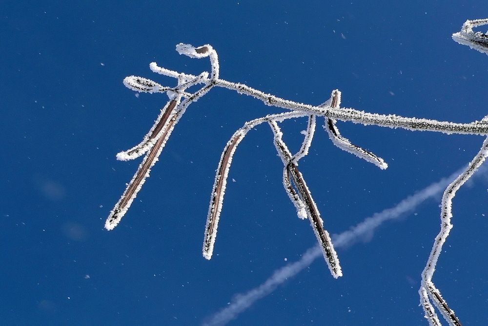Фотография автора Александр Челмодеев