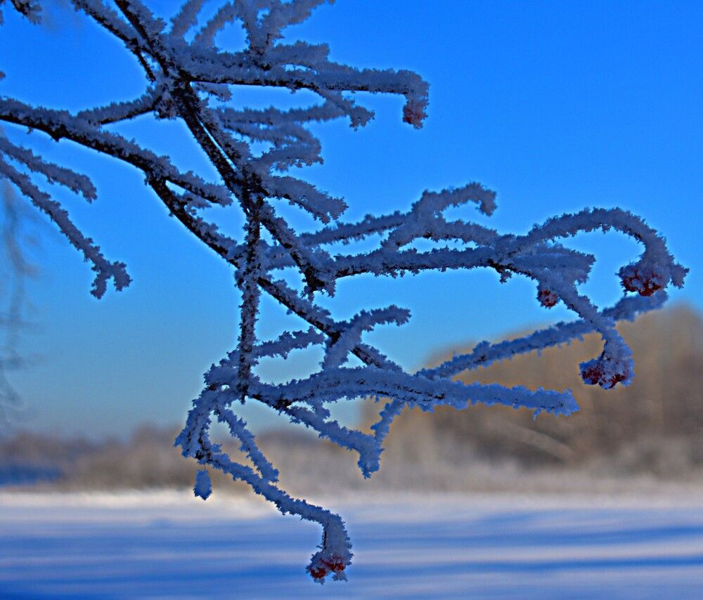 Photograph by Александр Прядко