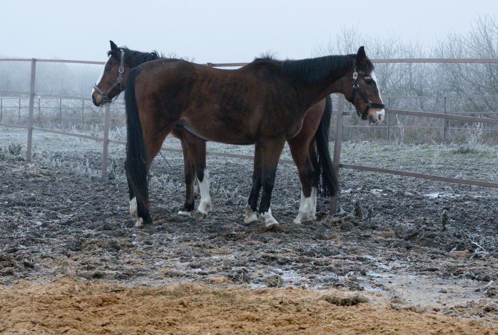 Фотография автора Olga Konkova