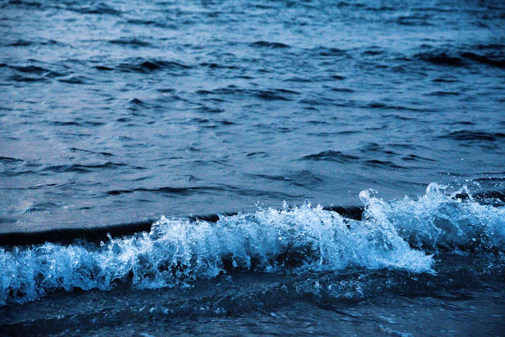 Фотография автора Olga Konkova