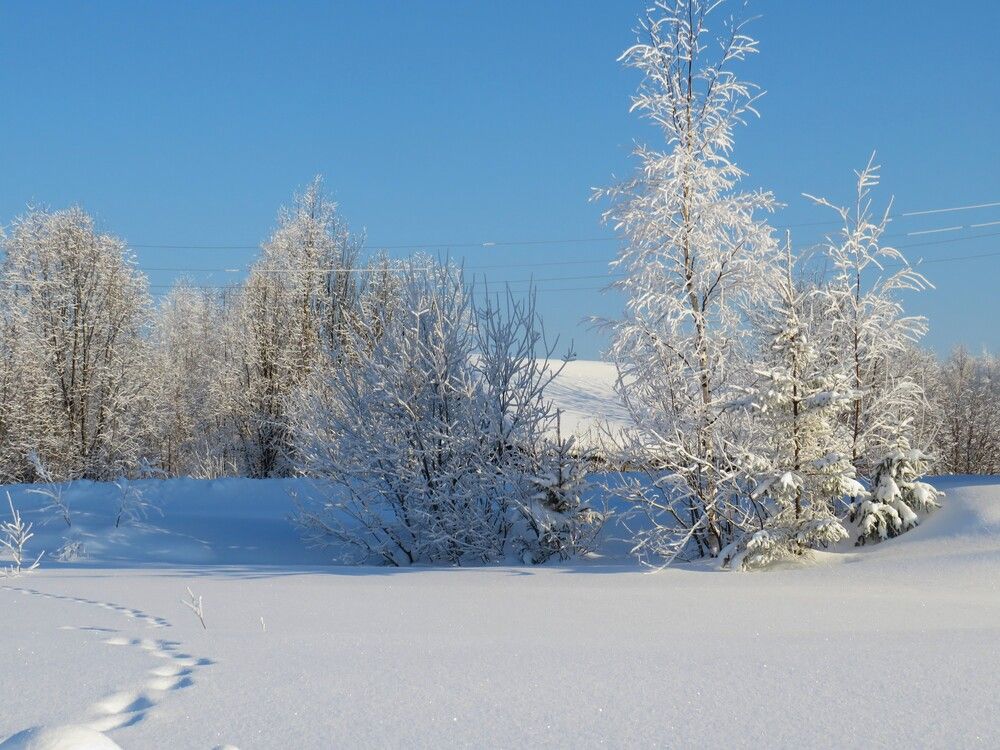 Photograph by Людмила Кононова