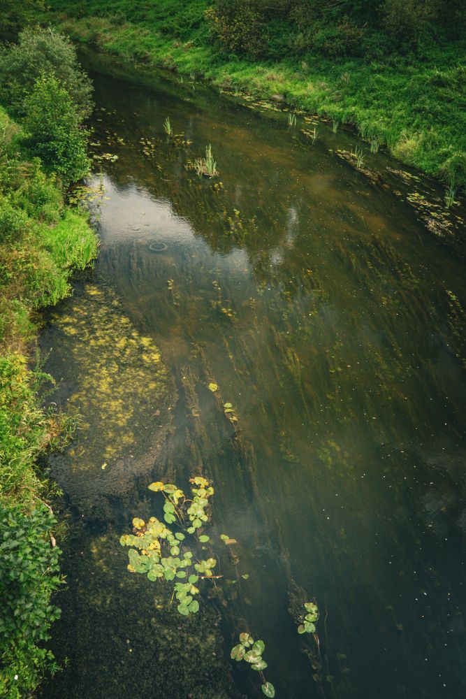 Фотография автора Olga Konkova