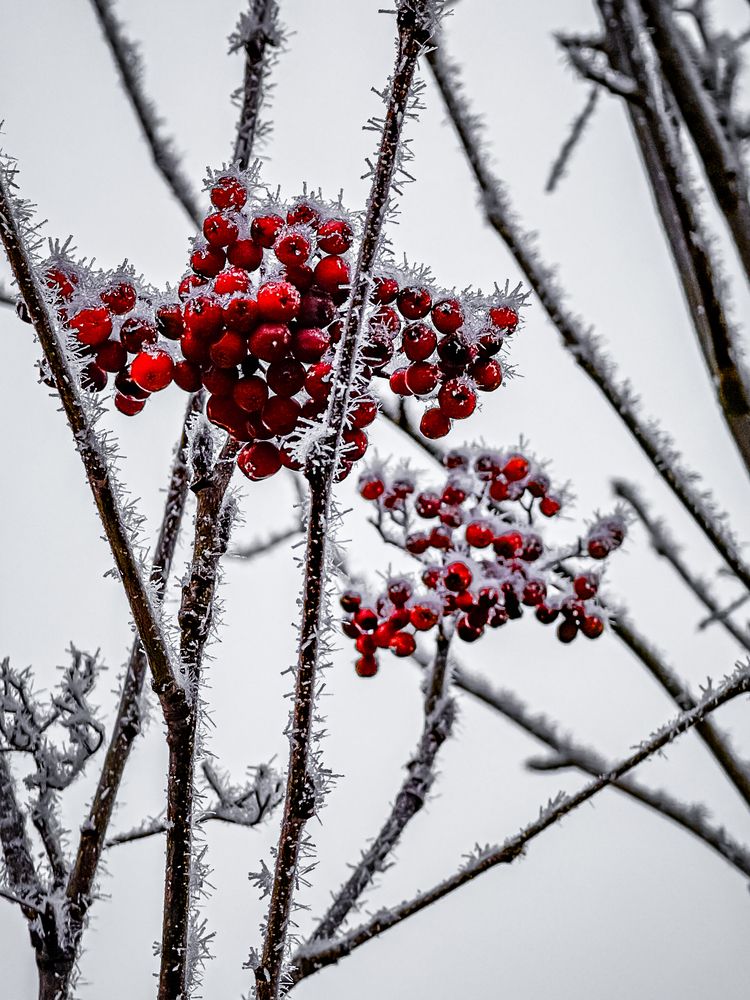 Photograph by Евгений Фролов