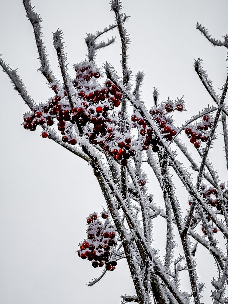 Photograph by Евгений Фролов