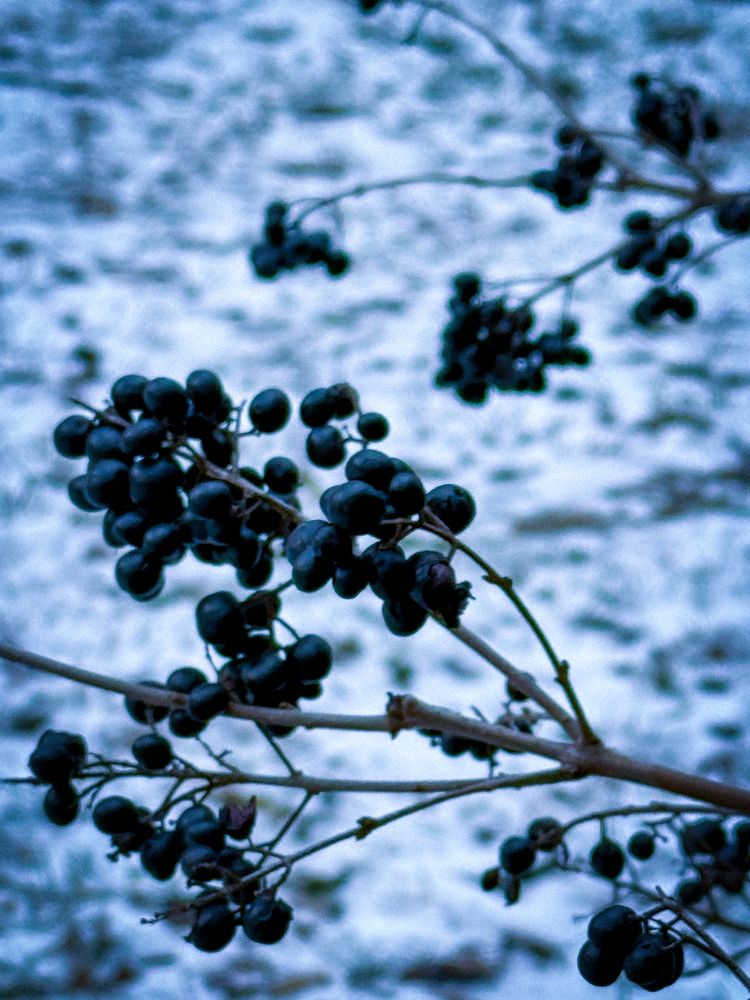 Photograph by Евгений Фролов