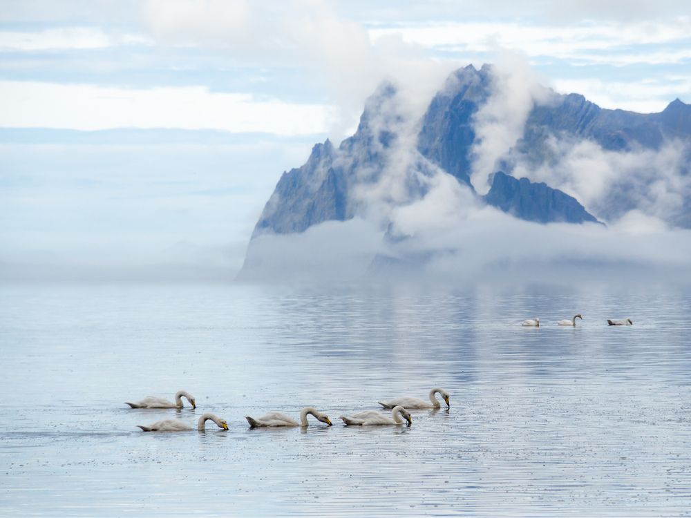 Photograph by Александр Авдушев