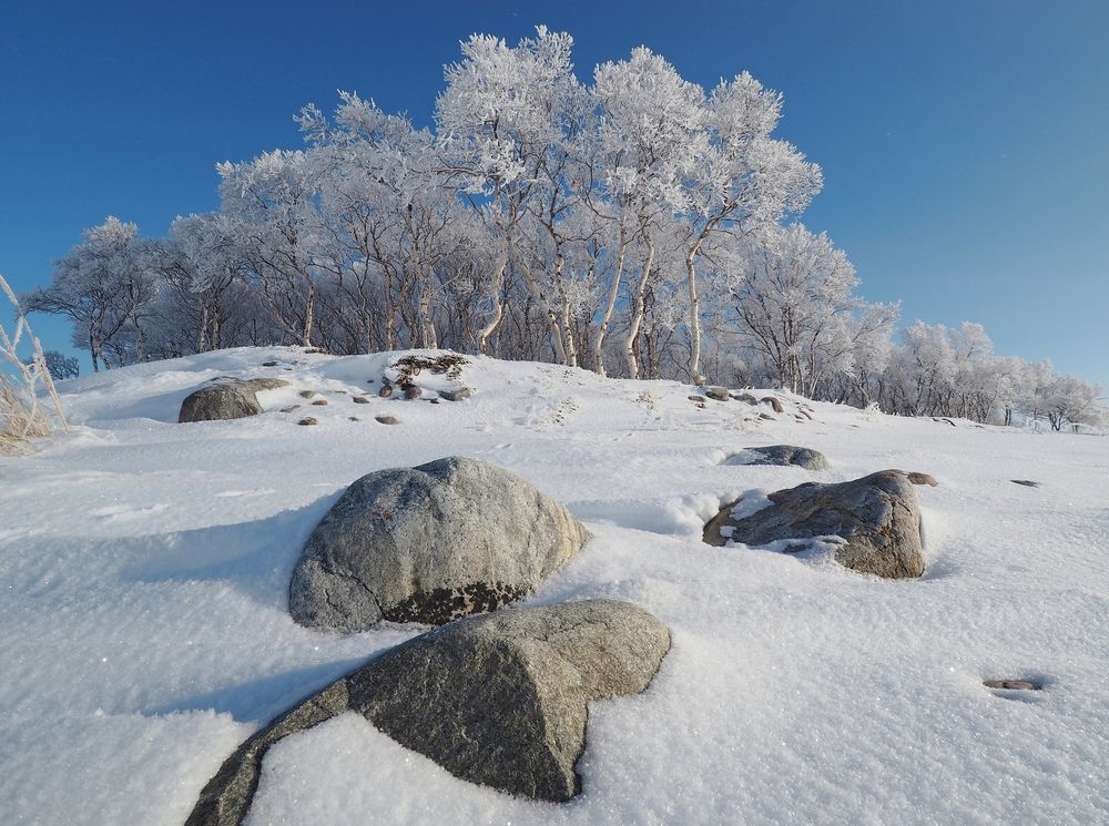 Photograph by Яковлев Евгений
