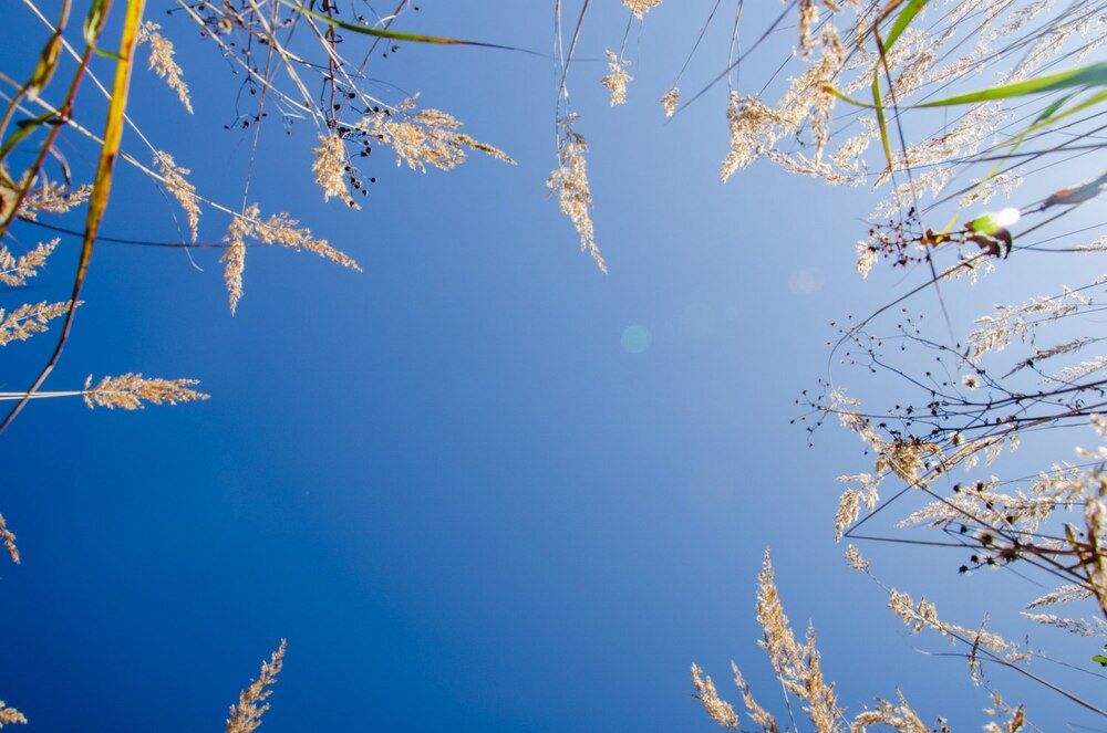 Photograph by Галина Ложечникова