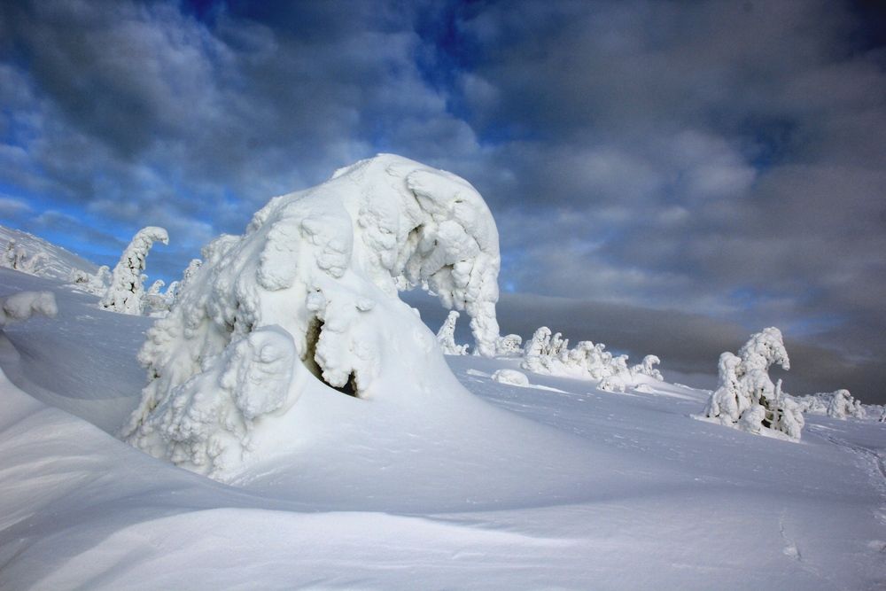 Фотография автора Olga Mamadzanova