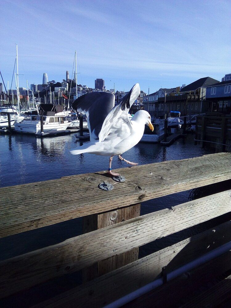 Photograph by Людмила Ковалева