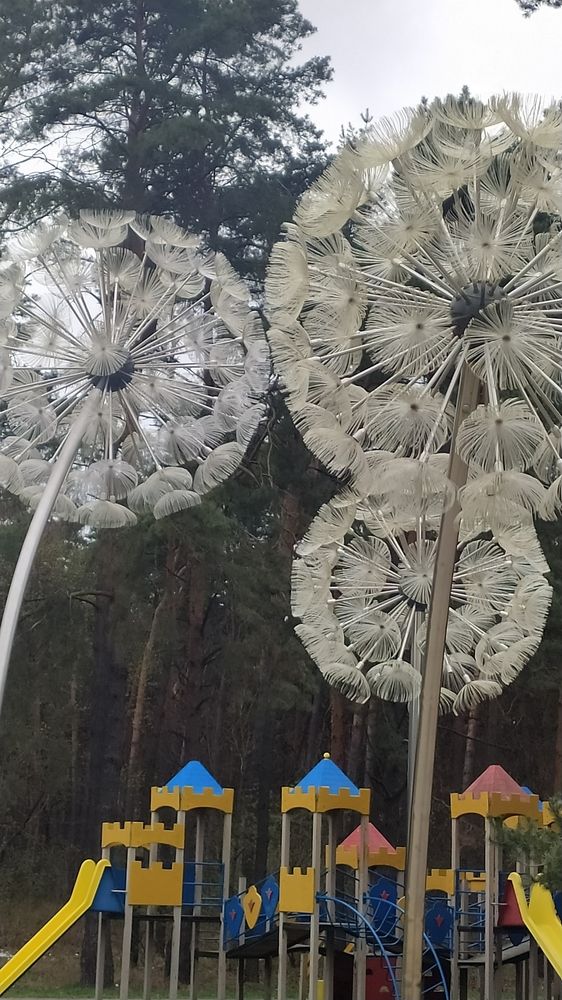 Фотография автора Инесса Ганкина