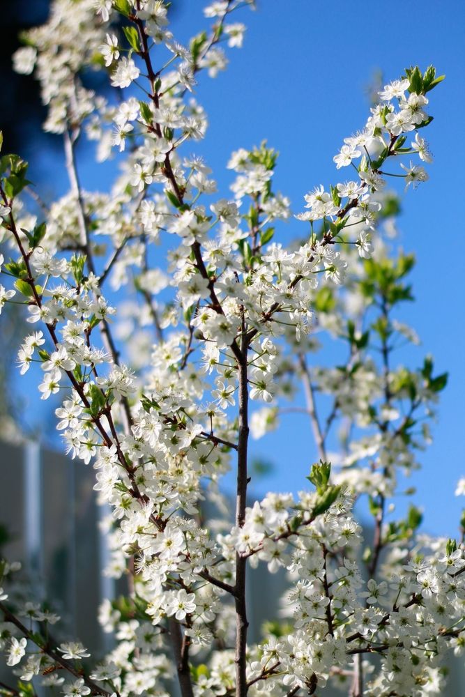 Photograph by Любовь Иванова