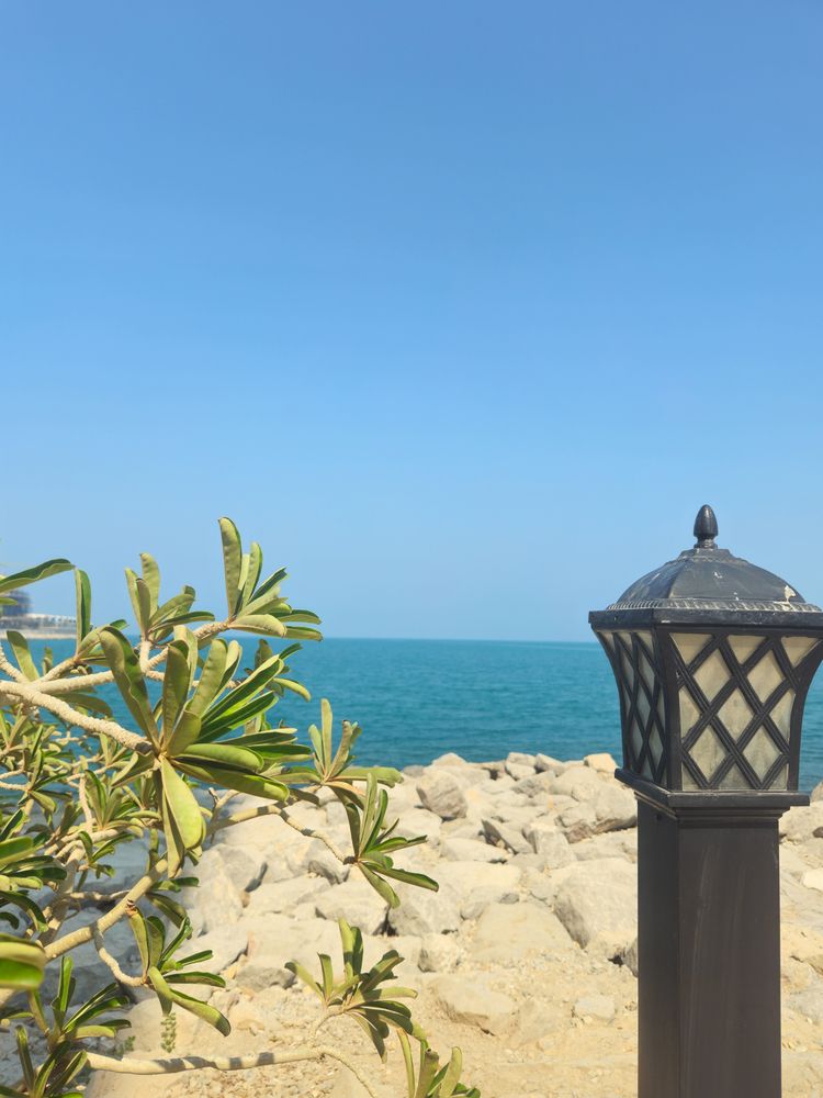 Фотография автора Olga Konkova