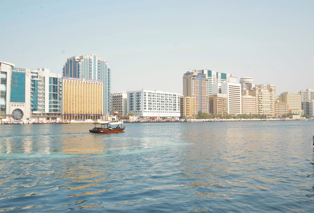 Фотография автора Olga Konkova