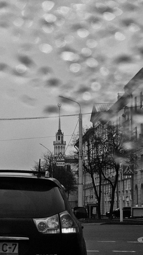 Фотография автора Светлана Кудрявцева