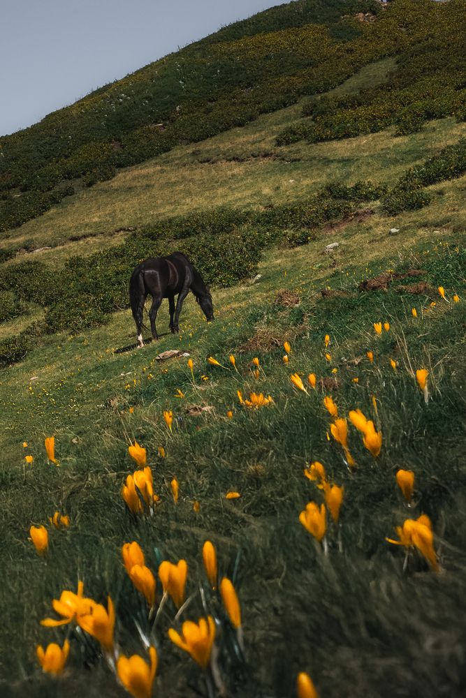 Photograph by Tata Glazkova
