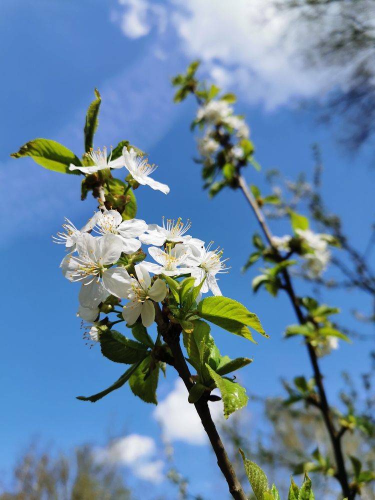Фотография автора Дмитрий Гаврилов