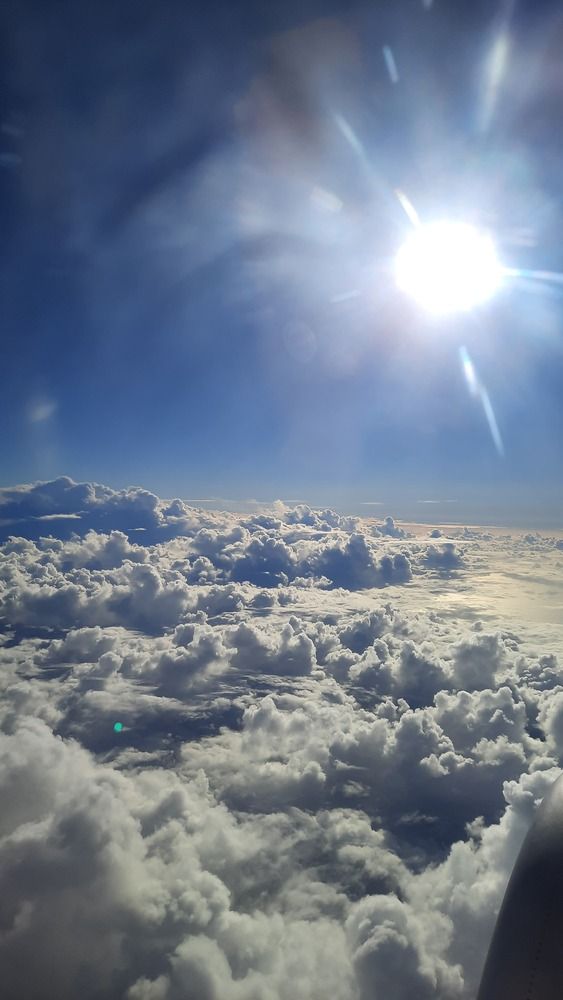 Фотография автора Anabela Maria Lima Silva