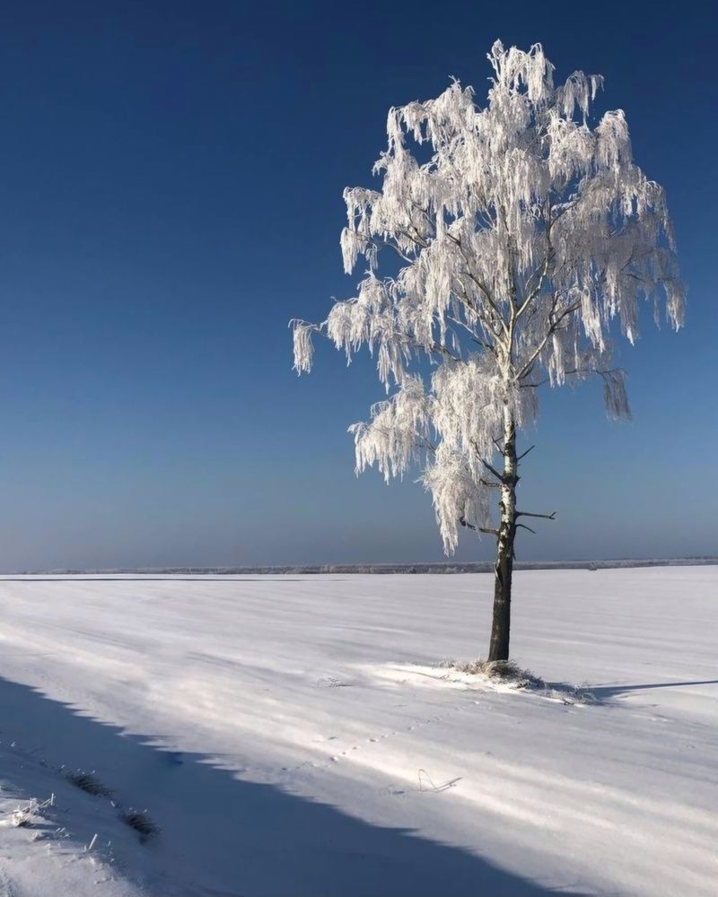Фотография автора Мария Рудаковская