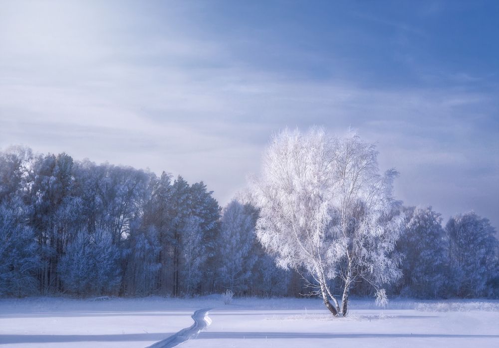 Photograph by Юлия Лушникова