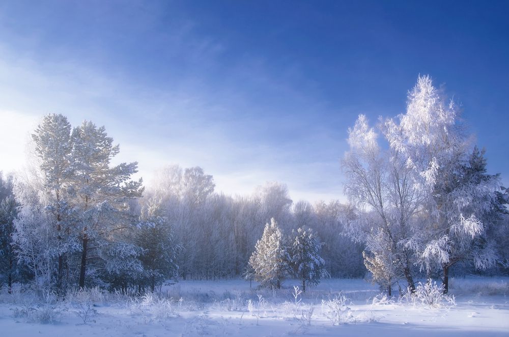 Photograph by Юлия Лушникова