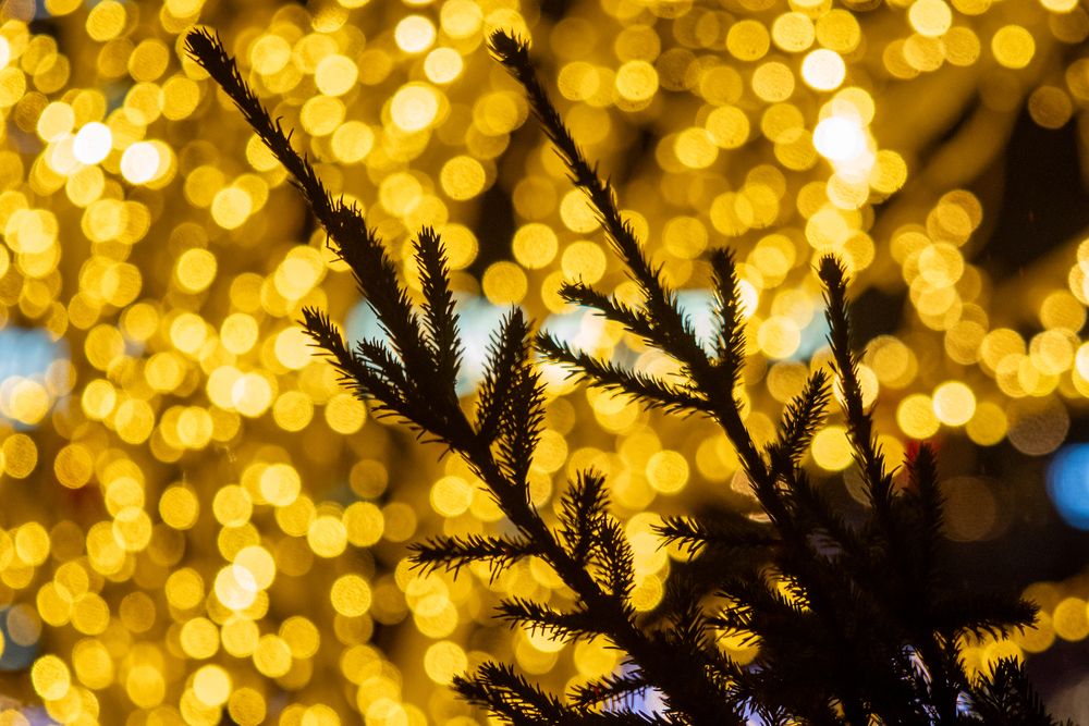 Фотография автора Валерий Бычков