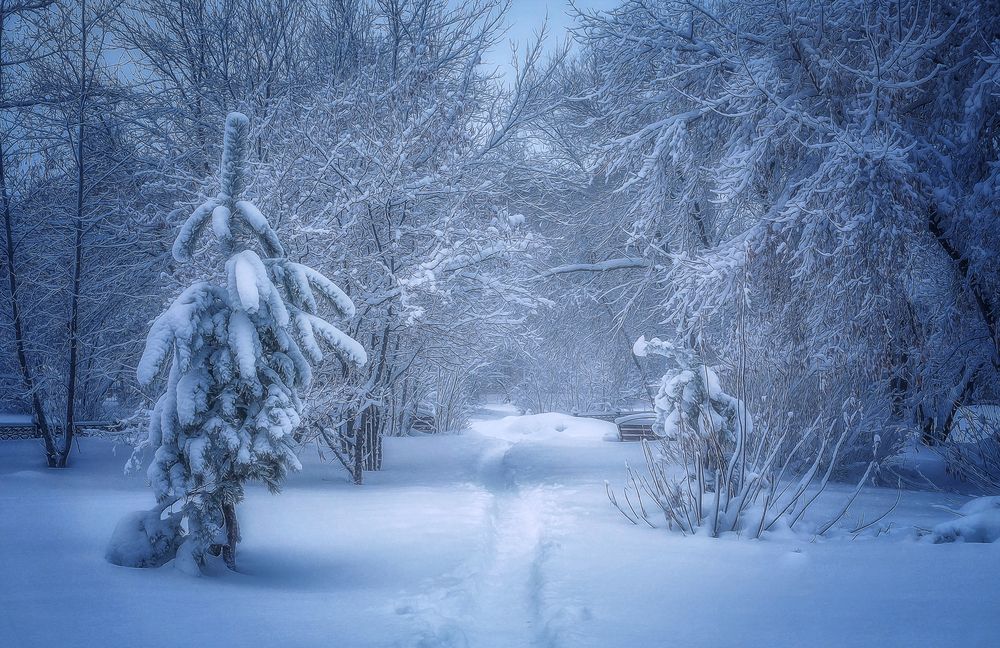 Photograph by Юлия Лушникова