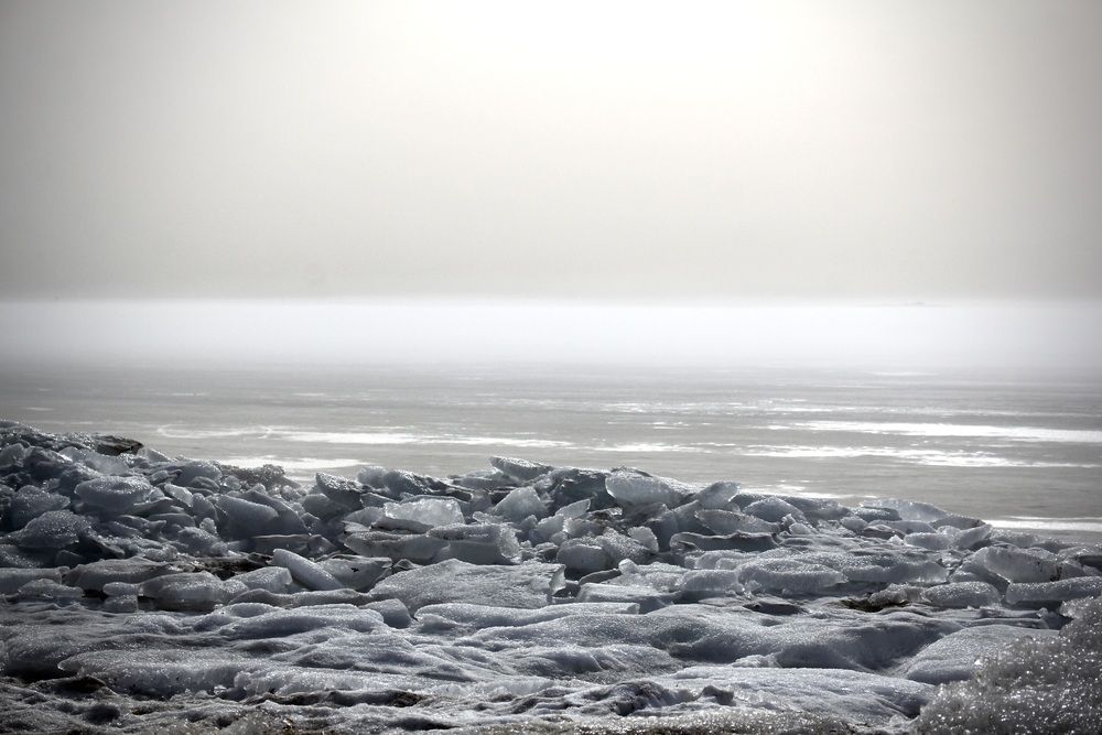 Photograph by Dmitry