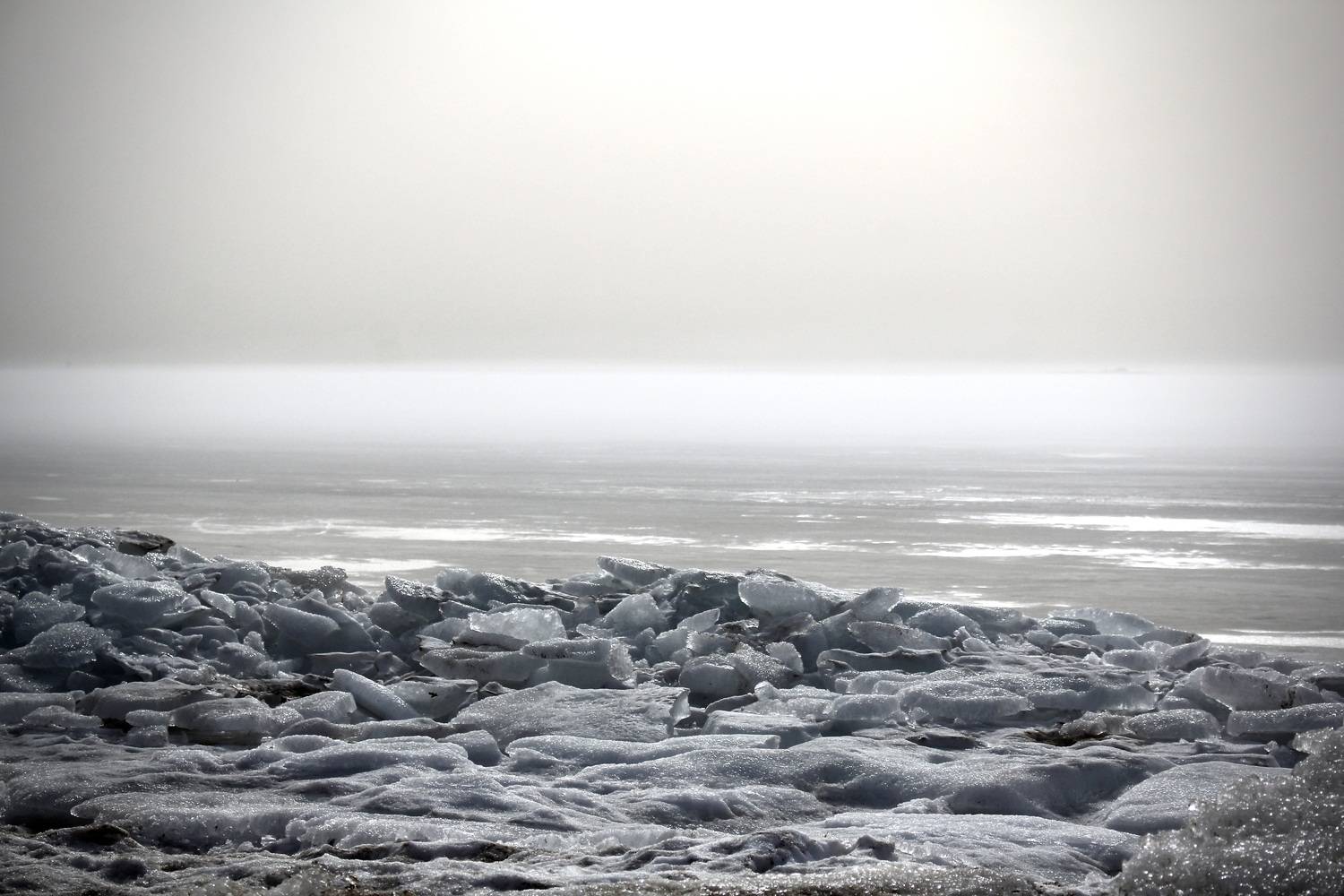 Photo #12983396