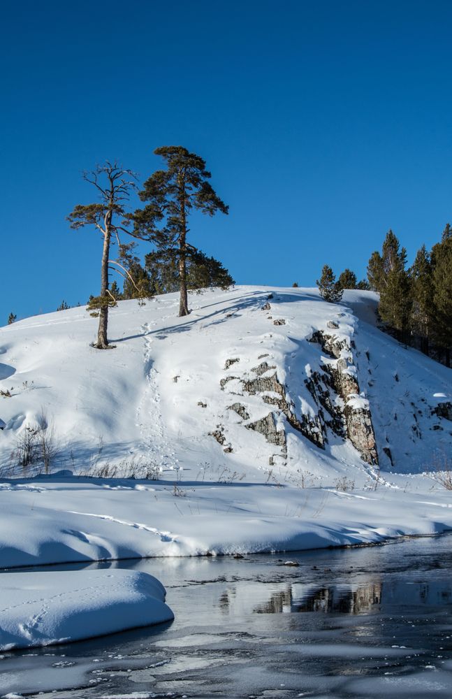 Photograph by Света Назарова