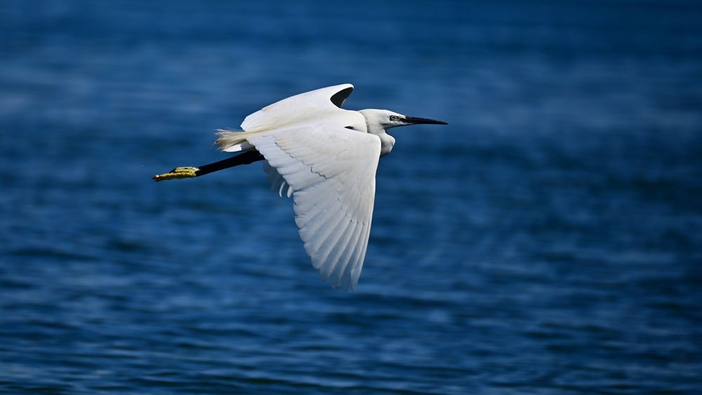 Photograph by Светлана Ивановна