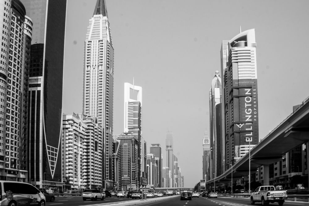 Фотография автора Olga Konkova