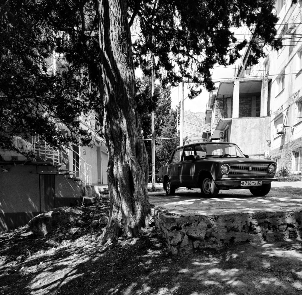 Фотография автора Olga Konkova