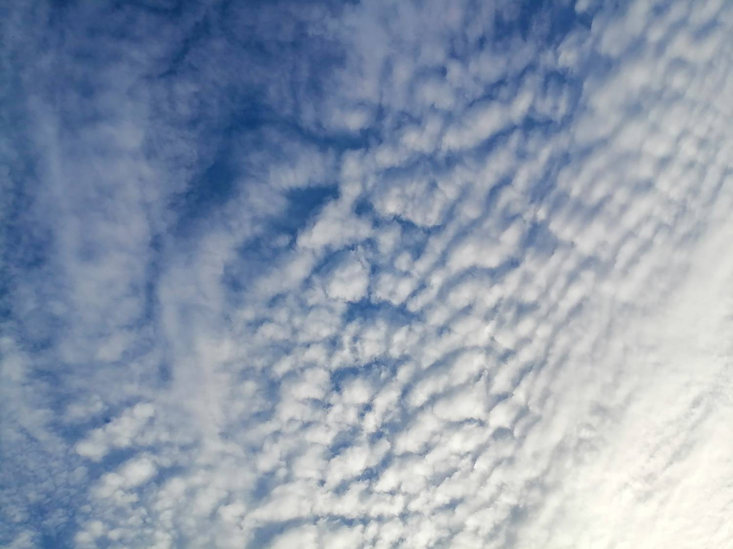 Photo #12983484
