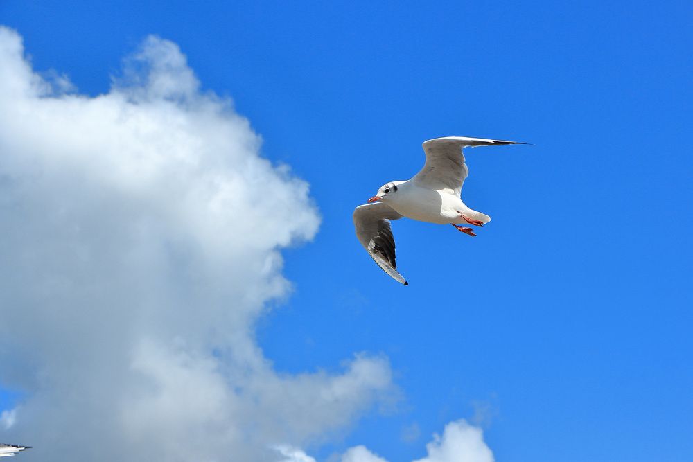 Фотография автора Светлана Долотова