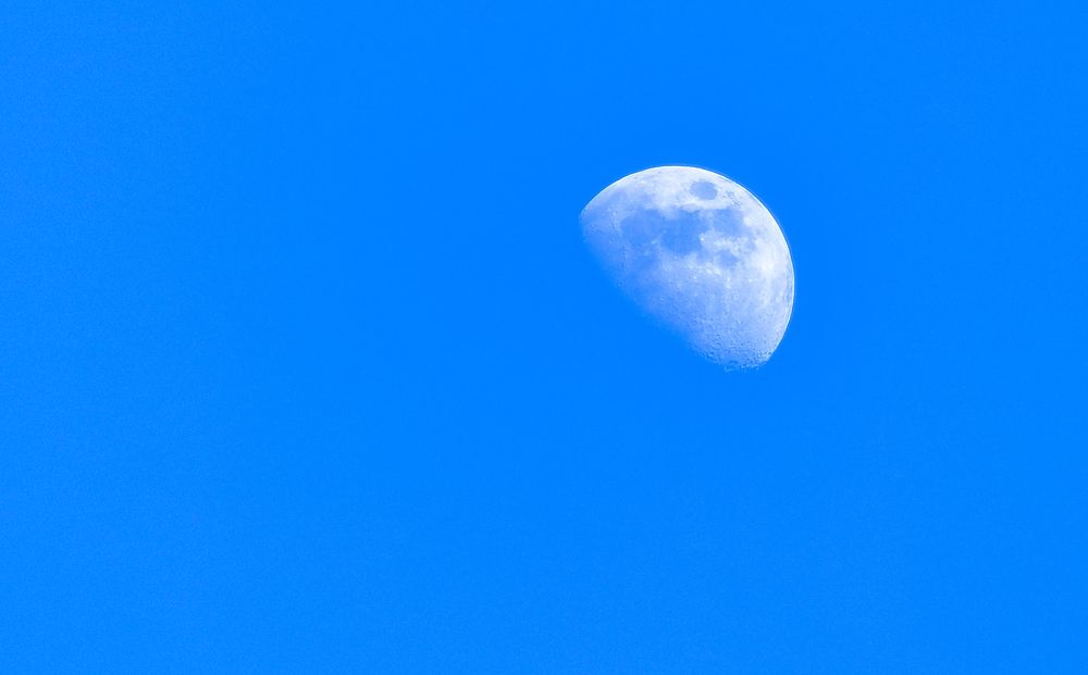 Фотография автора Светлана Долотова