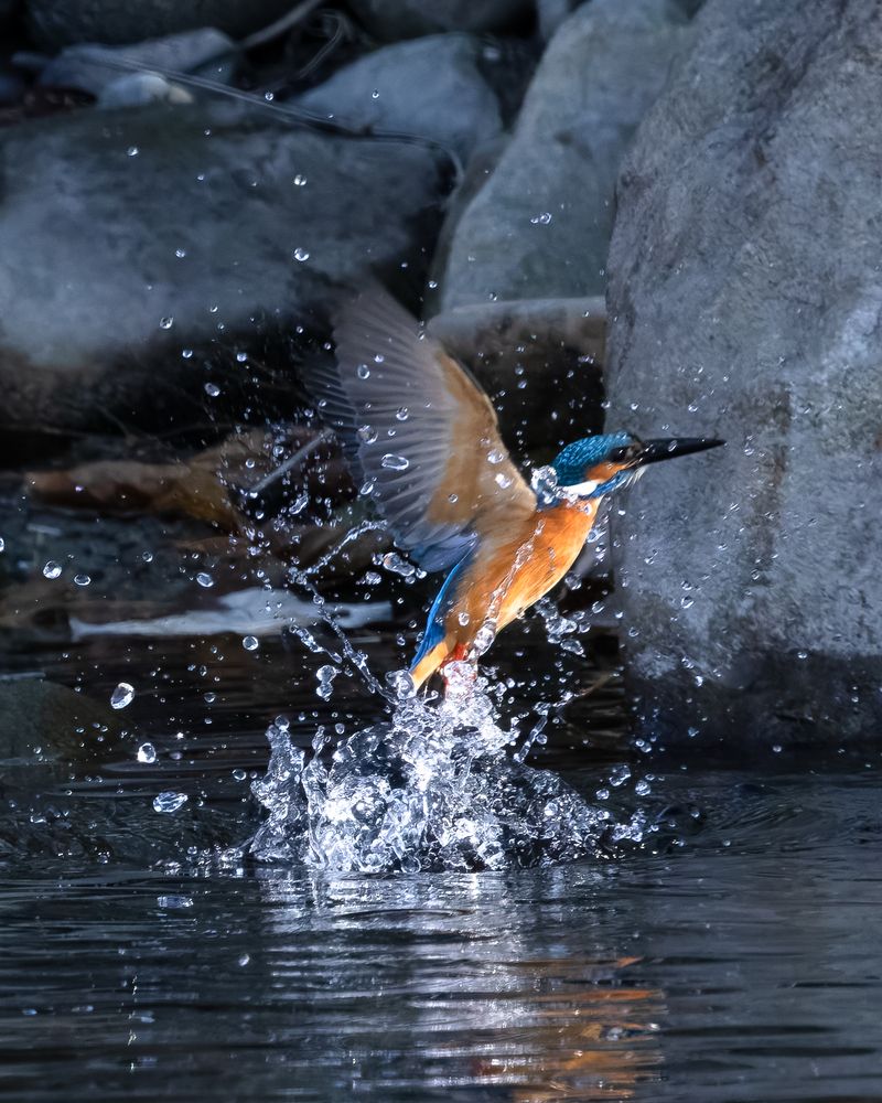 Photograph by KOHAGI