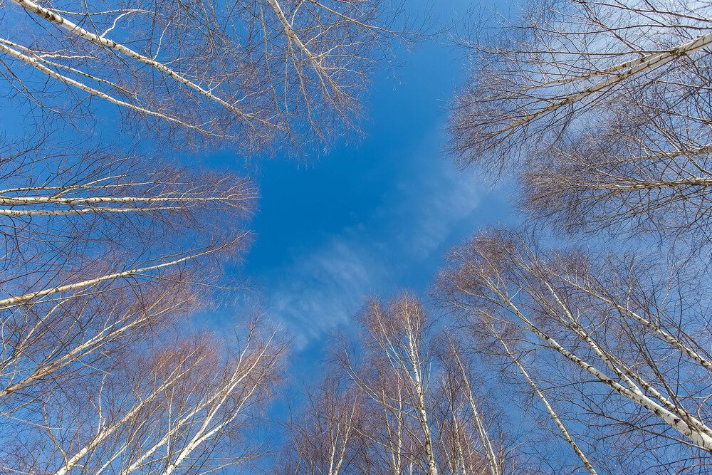 Photograph by Александр Шмакалов