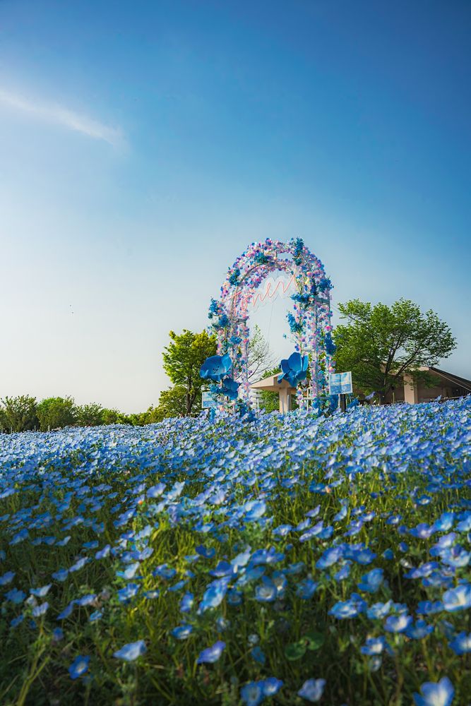 Photograph by TamaU TamaU