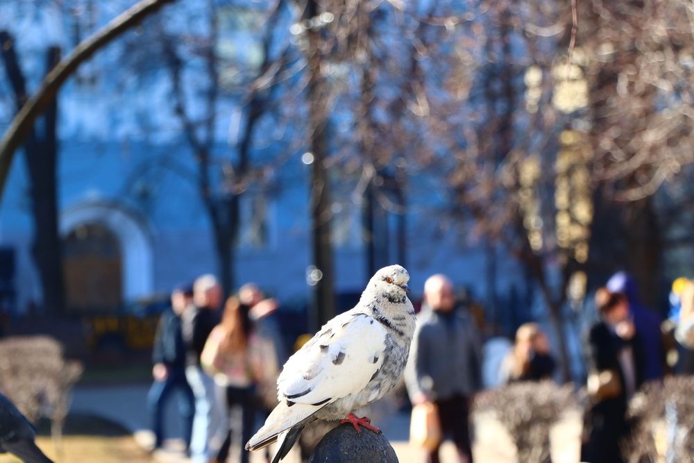 Photograph by Владислав Клыков