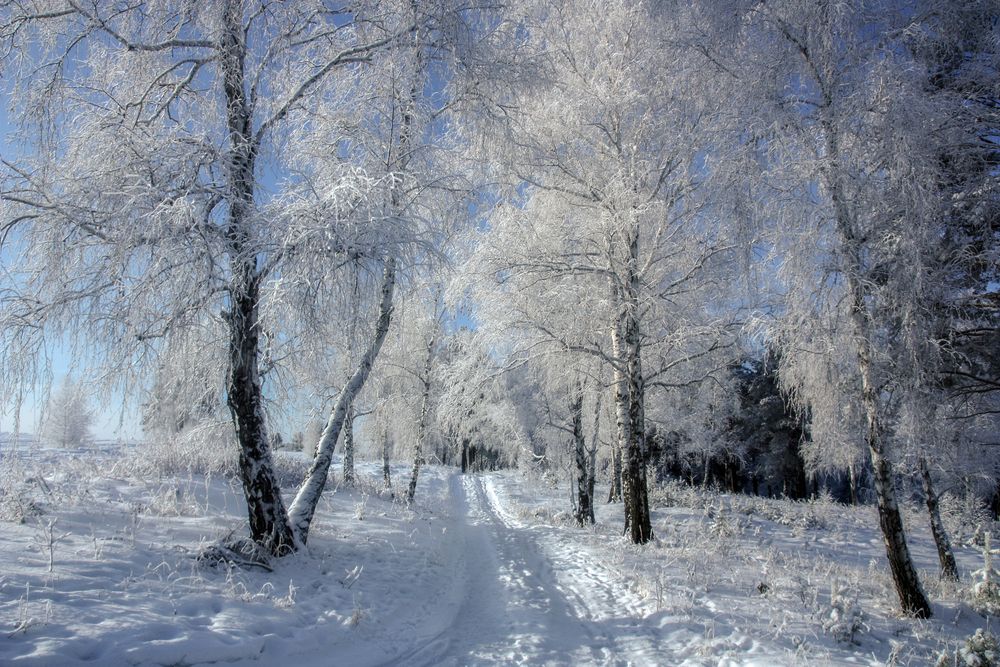 Photograph by Ольга Литвинцева