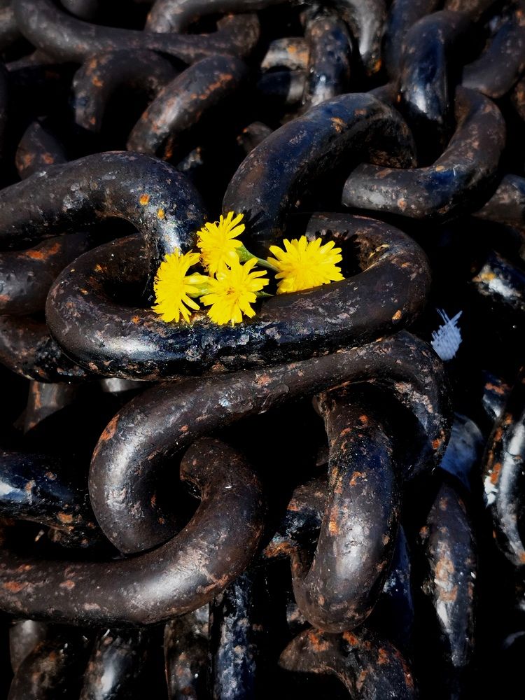 Фотография автора JELENA VASIC